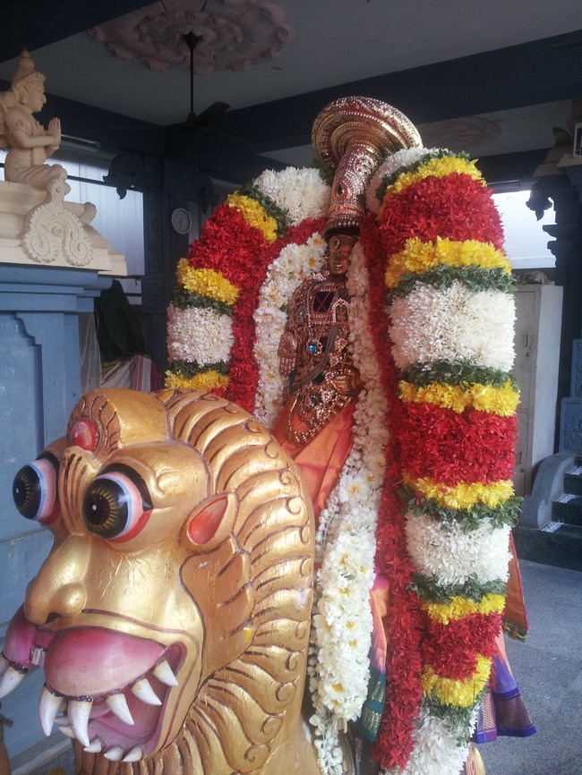 Taramani Srinivasa Perumal Temple Simha vahanam2014--00