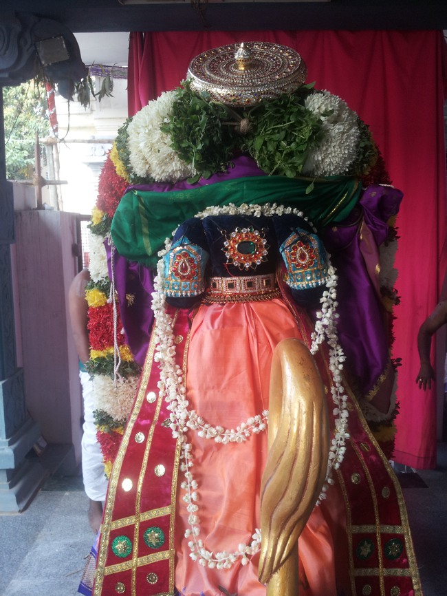 Taramani Srinivasa Perumal Temple Simha vahanam2014--03