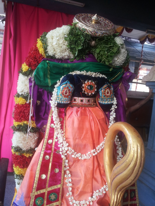 Taramani Srinivasa Perumal Temple Simha vahanam2014--04