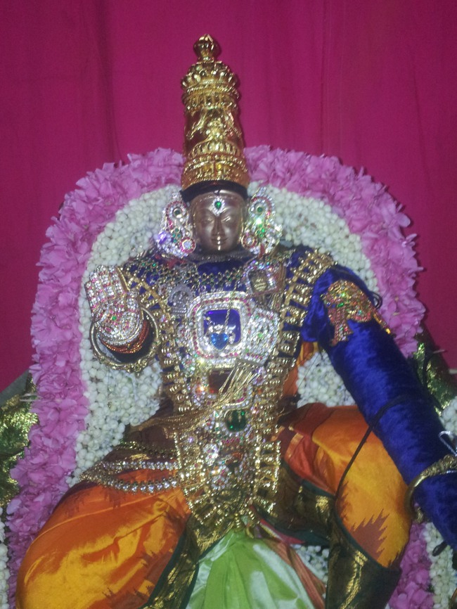 Taramani Srinivasa Perumal Temple paramapada nathan sevai 2014--0003