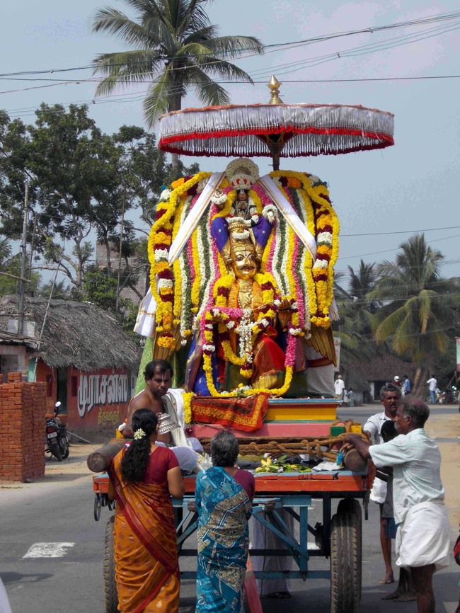 Thirukannamangai Bhakthasavatsala Perumal Temple Masi Maga utsavam 2014--07