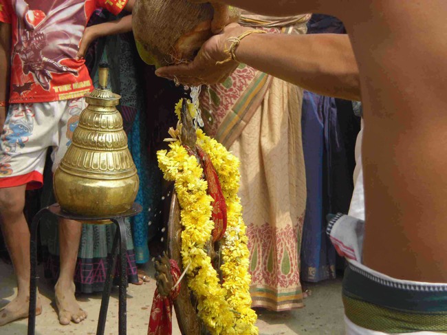 Thirukannamangai Bhakthasavatsala Perumal Temple Masi Maga utsavam 2014--21