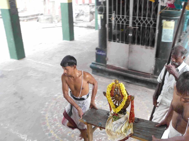 Thirukannamangai Bhakthasavatsala Perumal Temple Masi Maga utsavam 2014--24