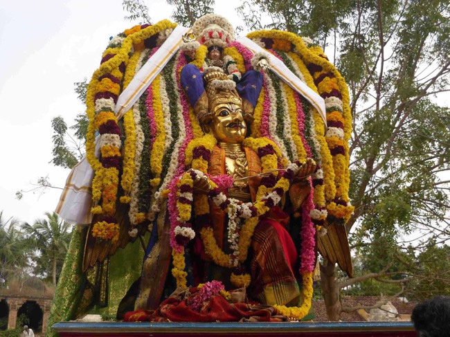 Thirukannamangai Bhakthasavatsala Perumal Temple Masi Maga utsavam 2014--25