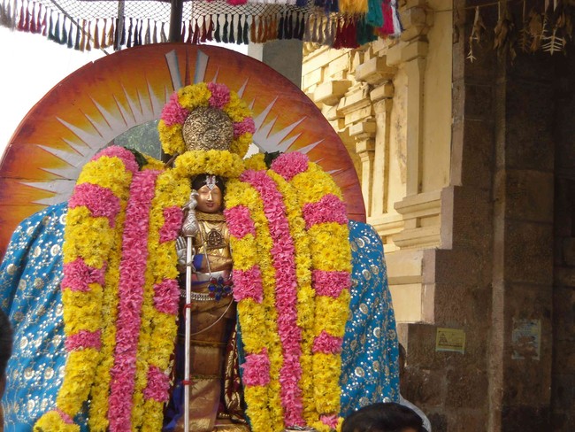 Thirukannamangai Bhakthavatsala Perumal Rathasapthami Purappadu 2014 -07