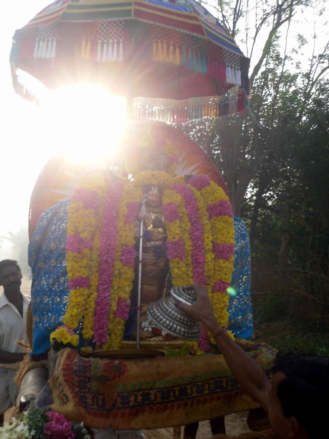 Thirukannamangai Bhakthavatsala Perumal Rathasapthami Purappadu 2014 -22