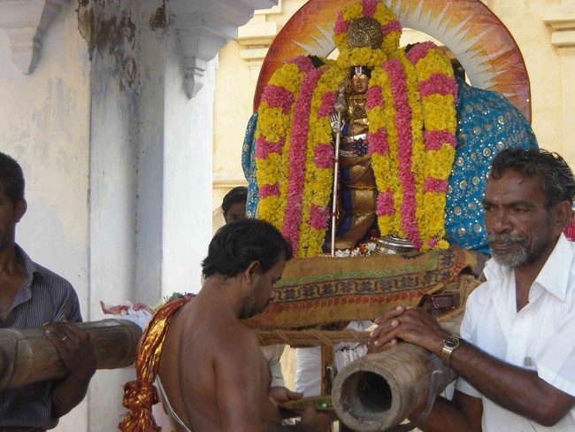 Thirukannamangai Bhakthavatsala Perumal Rathasapthami Purappadu 2014 -36