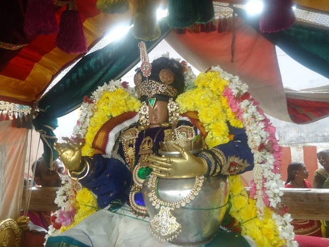 Thirukannapuram Masi Magam Utsavam 2014 -23