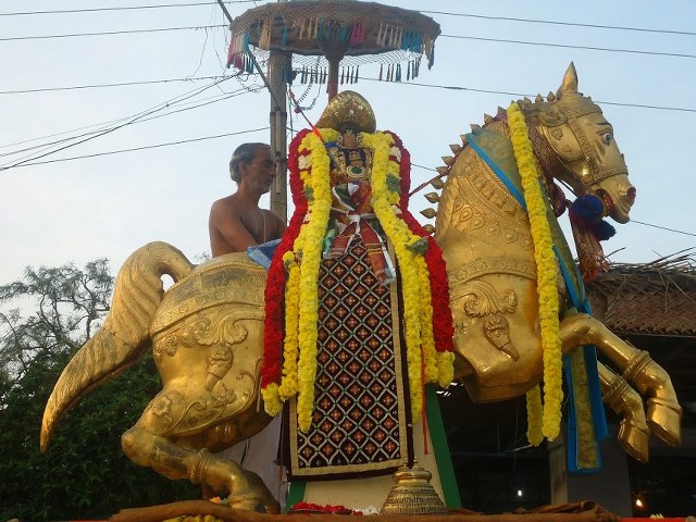 Thirukannapuram Masi Magam Utsavam 2014 -25