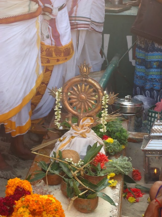Thirukannapuram Masi Magam Utsavam 2014 -31