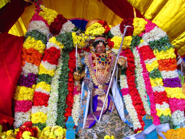 Thirunangur Garuda Sevai Azhwar mangalasasanam at Pandal 2014--0001