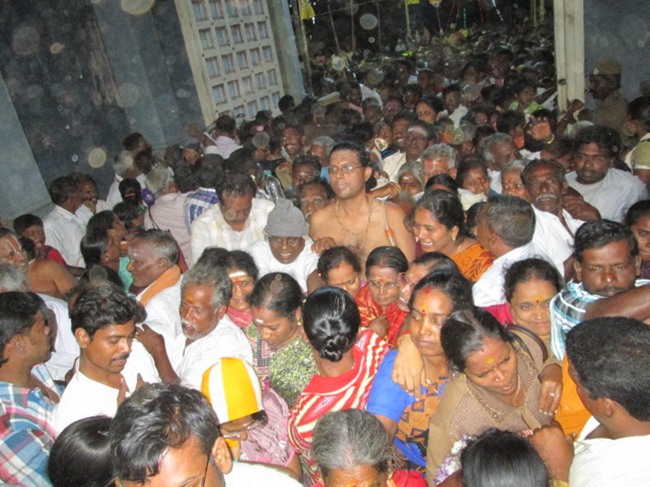 Thirunangur Garuda Sevai Azhwar mangalasasanam at Pandal 2014--0010
