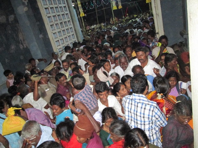 Thirunangur Garuda Sevai Azhwar mangalasasanam at Pandal 2014--0012