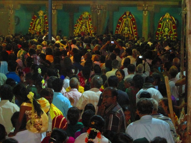 Thirunangur Garuda Sevai Azhwar mangalasasanam at Pandal 2014--0015