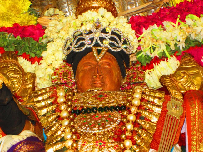 Thirunangur Garuda Sevai Azhwar mangalasasanam at Pandal 2014--0024