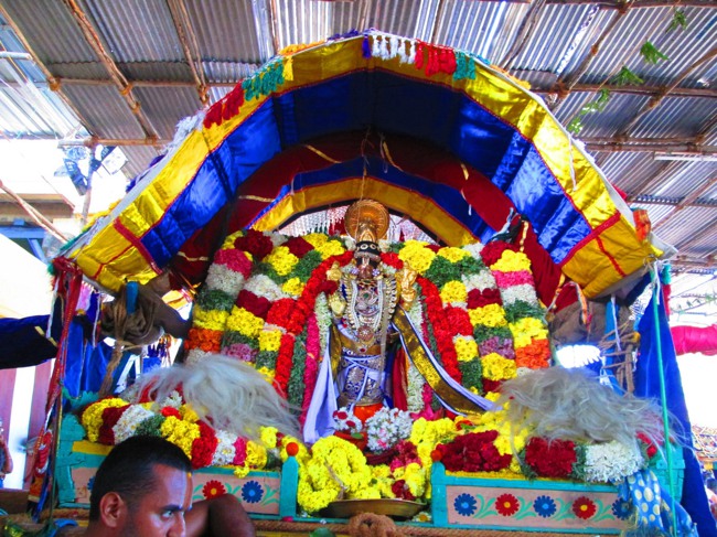 Thirunangur Garuda Sevai Azhwar mangalasasanam at Pandal 2014--0039