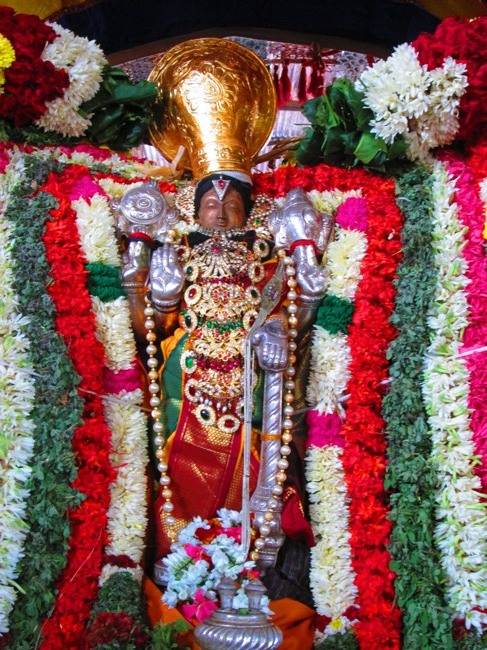 Thirunangur Garuda Sevai Azhwar mangalasasanam at Pandal 2014--0045