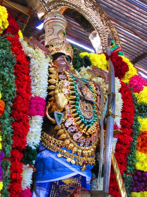 Thirunangur Garuda Sevai Azhwar mangalasasanam at Pandal 2014--0051
