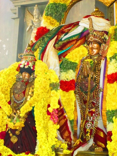 Thirunangur Garuda Sevai Azhwar mangalasasanam at Pandal 2014--0061