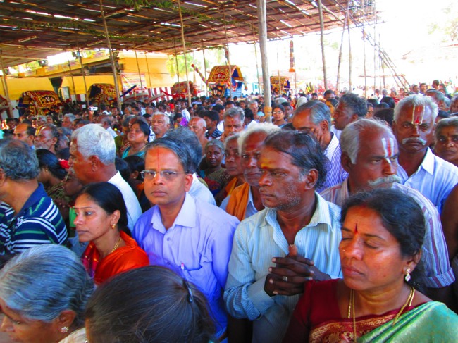 Thirunangur Garuda Sevai Azhwar mangalasasanam at Pandal 2014--0065