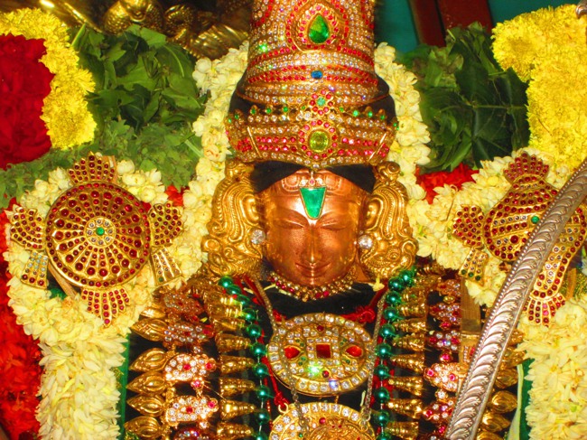 Thirunangur Garuda Sevai Azhwar mangalasasanam at Pandal 2014--0089