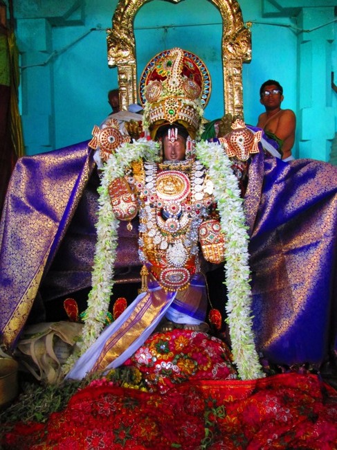 Thirunangur Garuda Sevai Azhwar mangalasasanam at Pandal 2014--0090