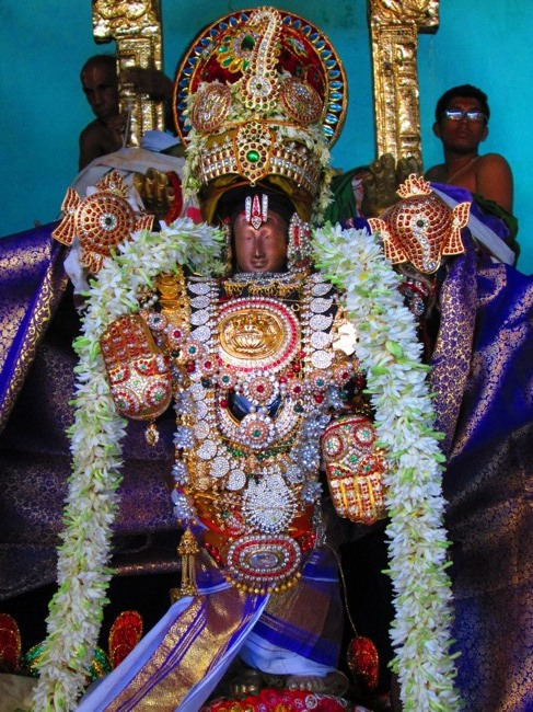 Thirunangur Garuda Sevai Azhwar mangalasasanam at Pandal 2014--0092