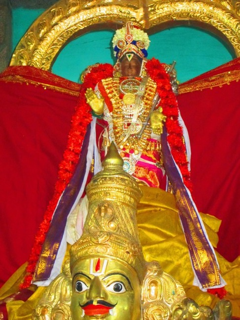 Thirunangur Garuda Sevai Azhwar mangalasasanam at Pandal 2014--0103