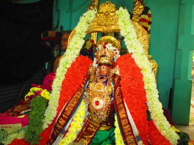 Thirunangur Garuda Sevai Azhwar mangalasasanam at Pandal 2014--0107