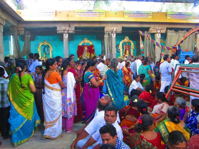 Thirunangur Garuda Sevai Azhwar mangalasasanam at Pandal 2014--0117