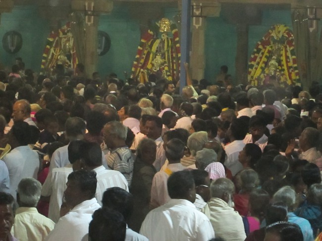 Thirunangur Garuda Sevai Azhwar mangalasasanam at Pandal 2014--0131