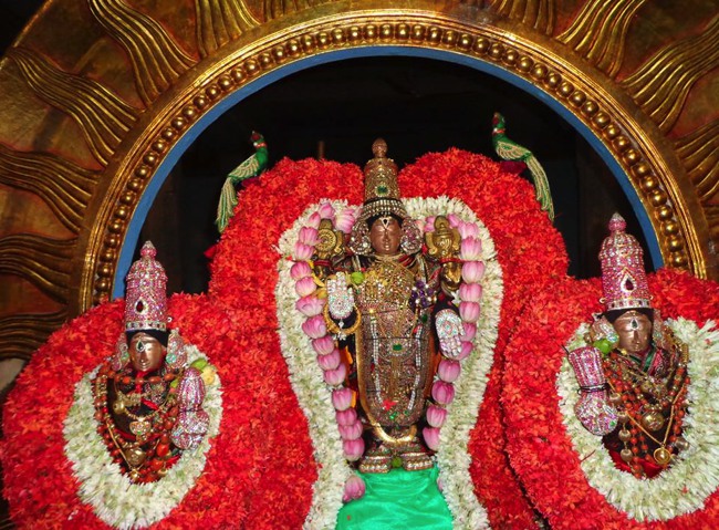 Thirunermalai Sri Ranganatha Perumal Temple Rathasapthami 2014--00