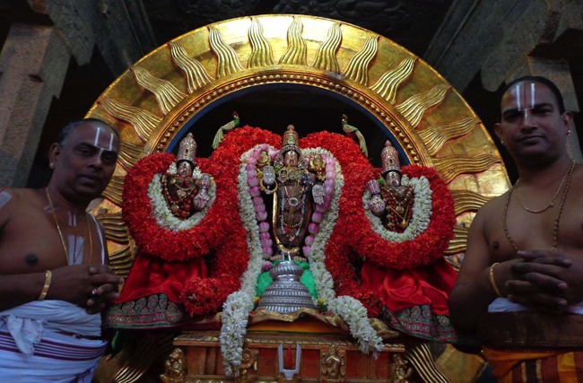Thirunermalai Sri Ranganatha Perumal Temple Rathasapthami 2014--01