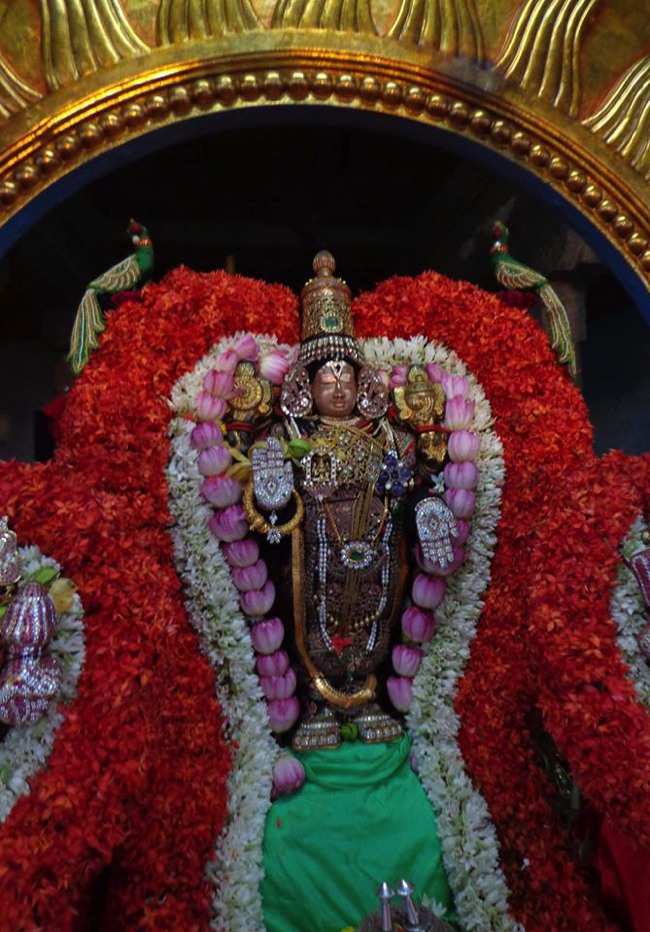 Thirunermalai Sri Ranganatha Perumal Temple Rathasapthami 2014--02