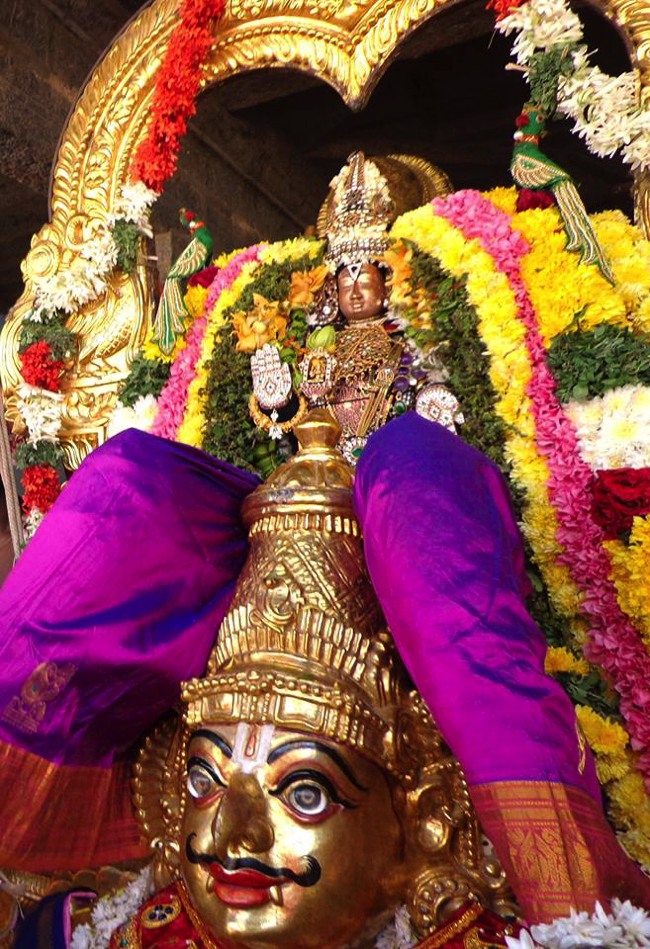 Thirunermalai Sri Ranganatha Perumal Temple Rathasapthami 2014--04