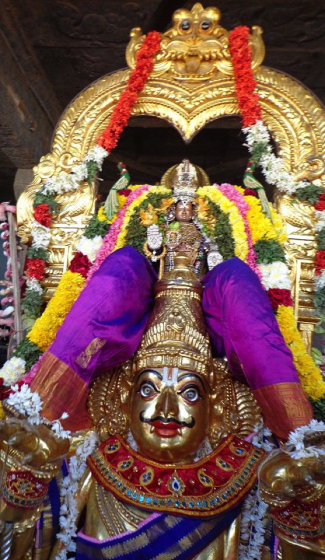 Thirunermalai Sri Ranganatha Perumal Temple Rathasapthami 2014--05