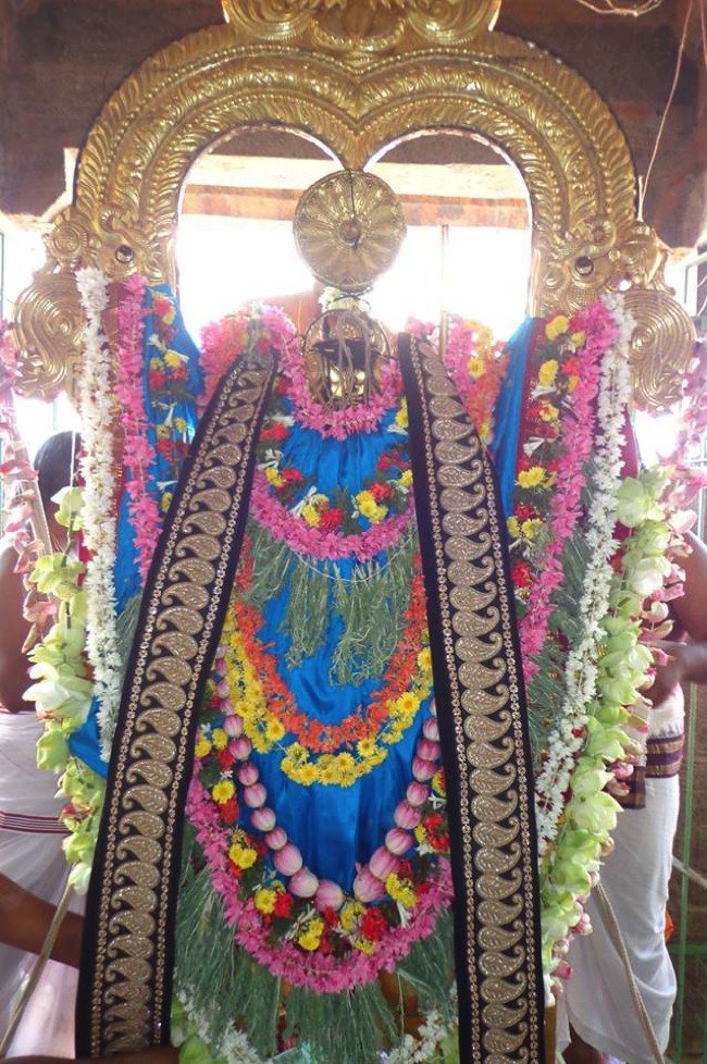 Thirunermalai Sri Ranganatha Perumal Temple Rathasapthami 2014--06