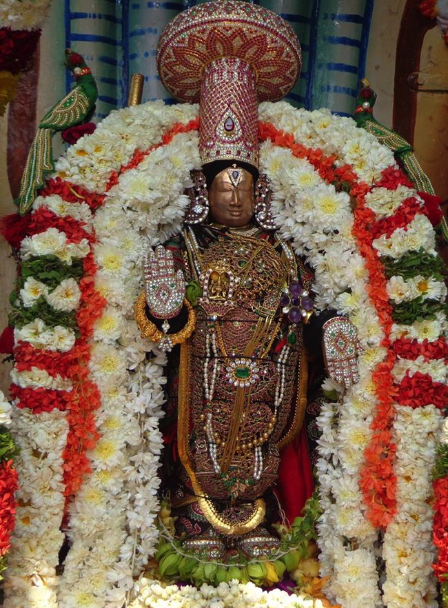 Thirunermalai Sri Ranganatha Perumal Temple Rathasapthami 2014--07