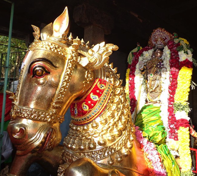 Thirunermalai Sri Ranganatha Perumal Temple Rathasapthami 2014--12