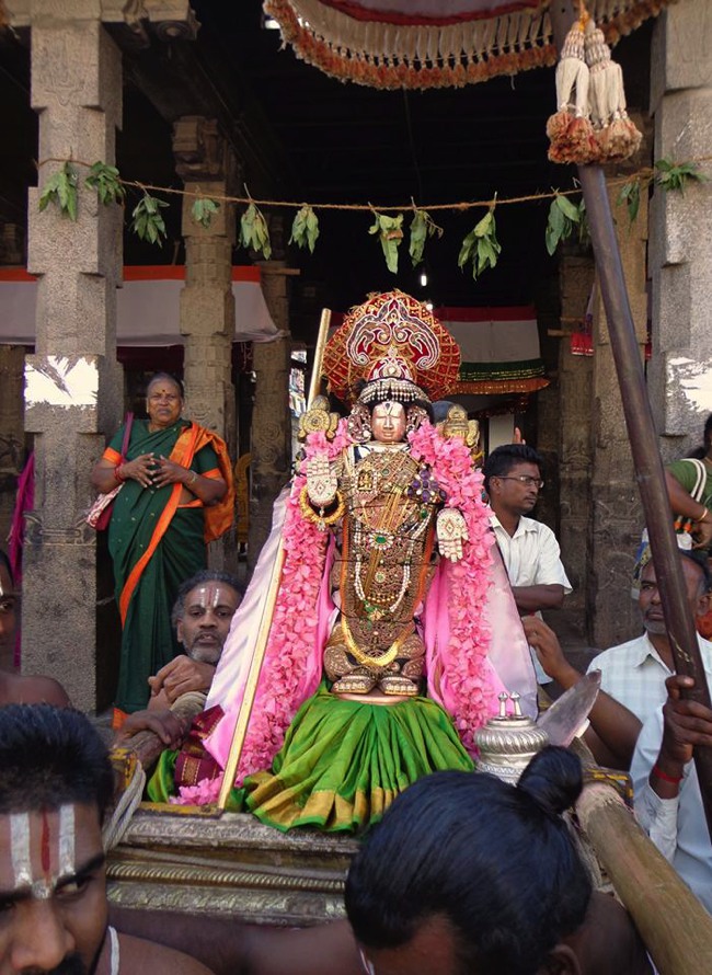 Thirunermalai Sri Ranganatha Perumal Temple Rathasapthami 2014--13
