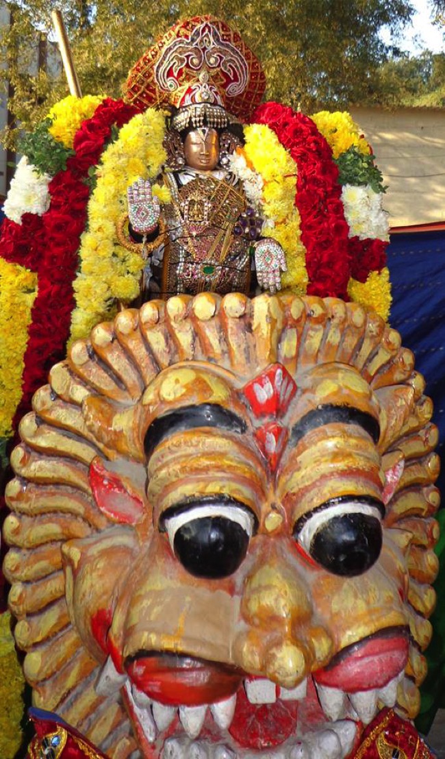 Thirunermalai Sri Ranganatha Perumal Temple Rathasapthami 2014--14