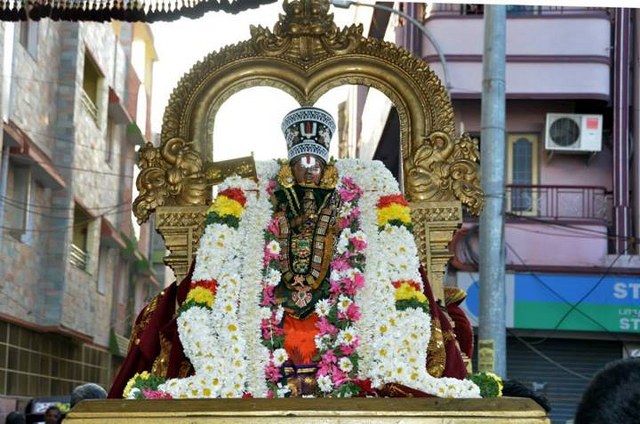Thiruvallikeni Embar THirunakshatra Purappadu  2014 -03_640x424