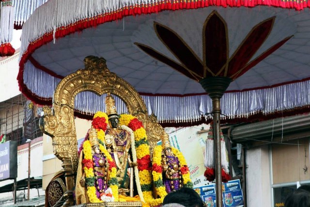 Thiruvallikeni Jaya Ekadasi Purappadu 2014 -4