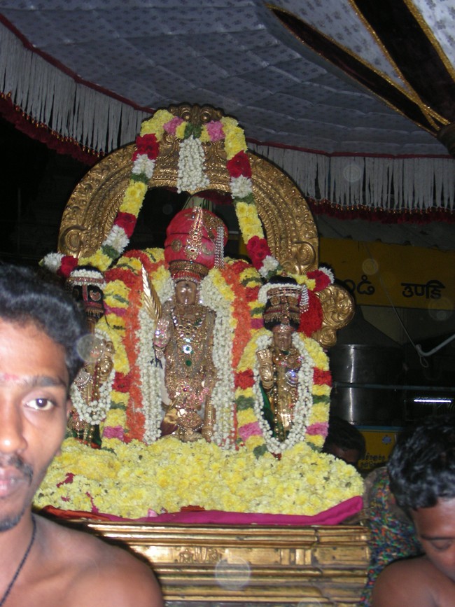 Thiruvallur Masi Chithirai Purappadu 2014 -12
