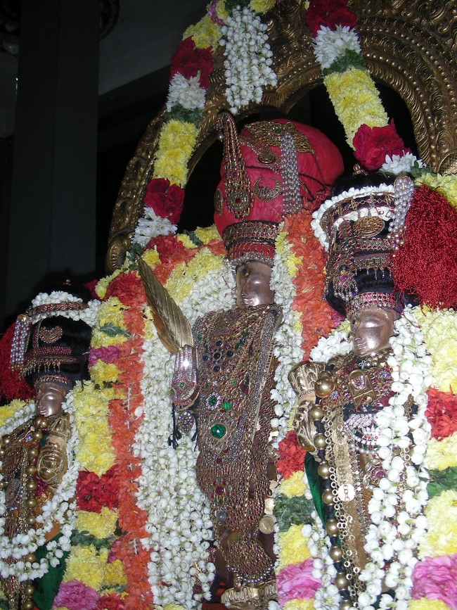 Thiruvallur Masi Chithirai Purappadu 2014 -16