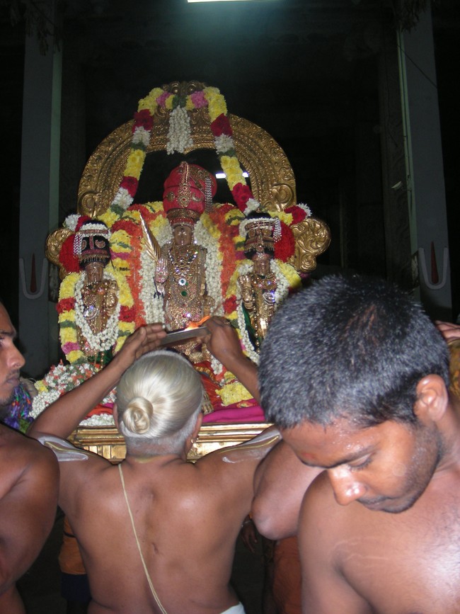 Thiruvallur Masi Chithirai Purappadu 2014 -21