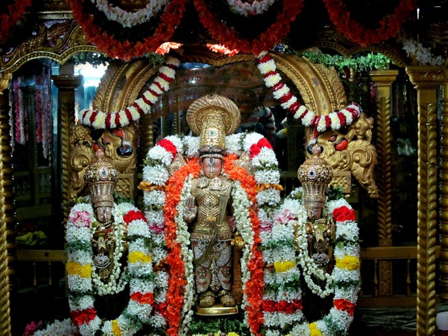 Thiruvallur Thai Brahmotsavam Vijayakoti Vimanam  2014--01