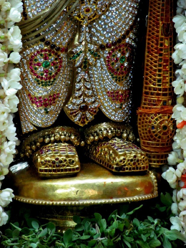 Thiruvallur Thai Brahmotsavam Vijayakoti Vimanam  2014--04