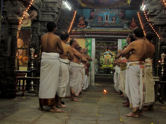 Thiruvallur Thai Brahmotsavam Vijayakoti Vimanam  2014--11
