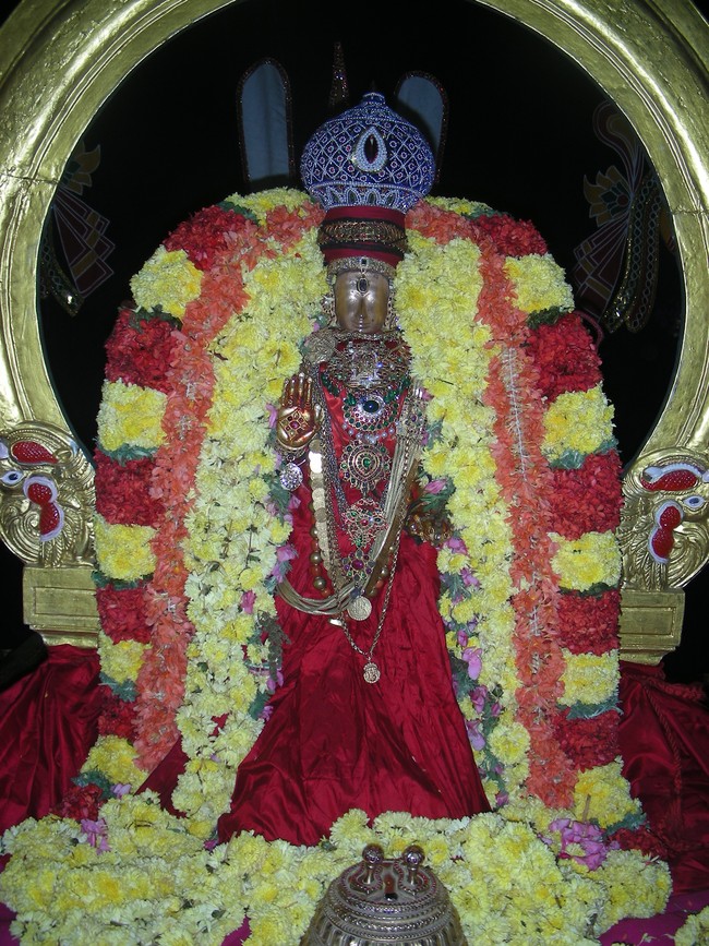 Thiruvallur veeraraghava perumal kovil Rathasapthami SUrya Prabhai 2014 -04